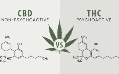 THC vs. CBD – Was sind die Unterschiede ?